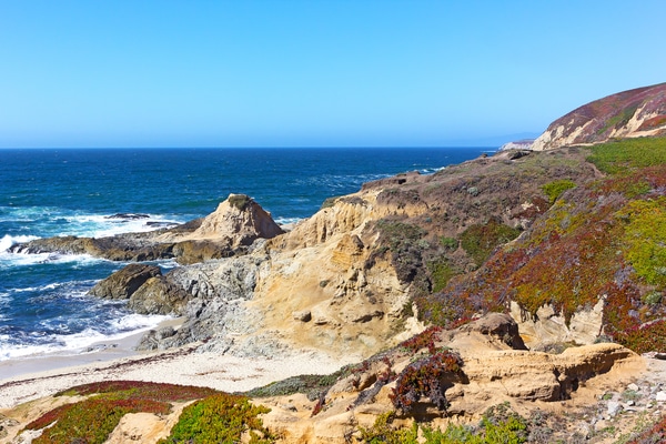 The headland at Bodega Bay is an ideal viewing point for whale watching