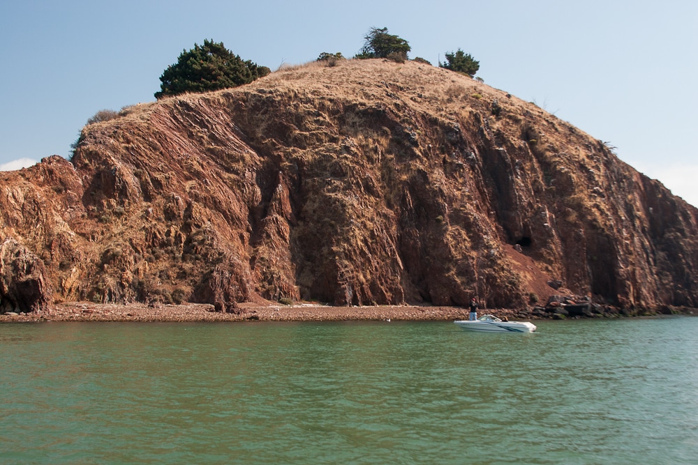 Greenery on Red Rock Island