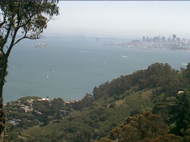 WebMarin Web Cam of San Francisco Bay